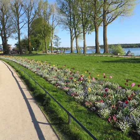 Ferienwohnungen "Marie" Mit Terrassen, Inclusive Park- Und Stellplaetze Am Haus, Mueritz-Strand Nur 700M, Altstadt 10Min, Ruhige Lage, ヴァーレン エクステリア 写真