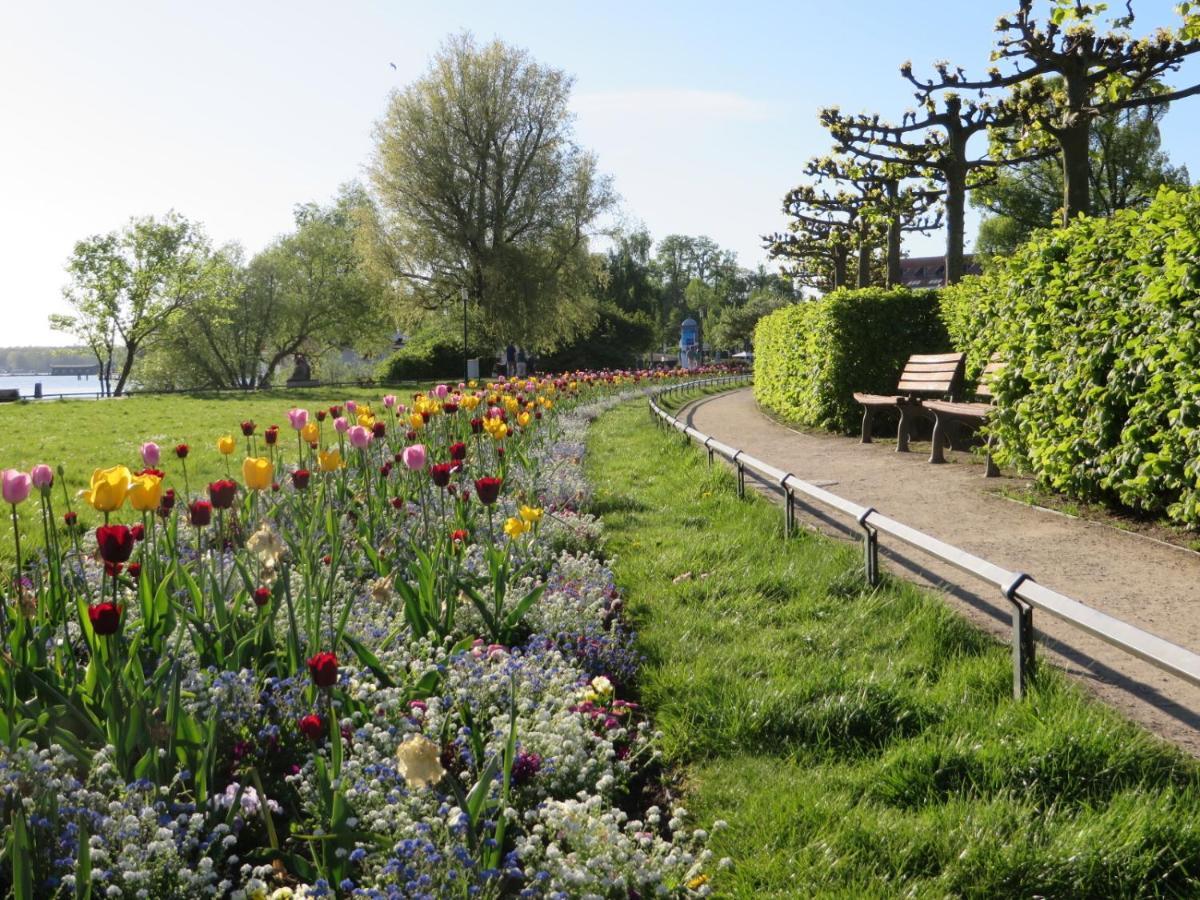 Ferienwohnungen "Marie" Mit Terrassen, Inclusive Park- Und Stellplaetze Am Haus, Mueritz-Strand Nur 700M, Altstadt 10Min, Ruhige Lage, ヴァーレン エクステリア 写真